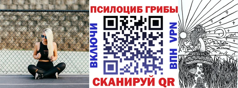 Псилоцибиновые грибы MAGIC MUSHROOMS  Купить где  Андреаполь 